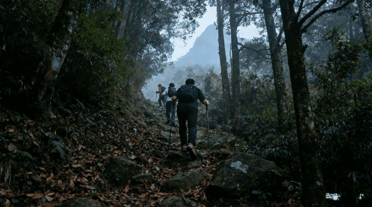小牛加速器飞机技术的原理、实现及未来应用前景分析